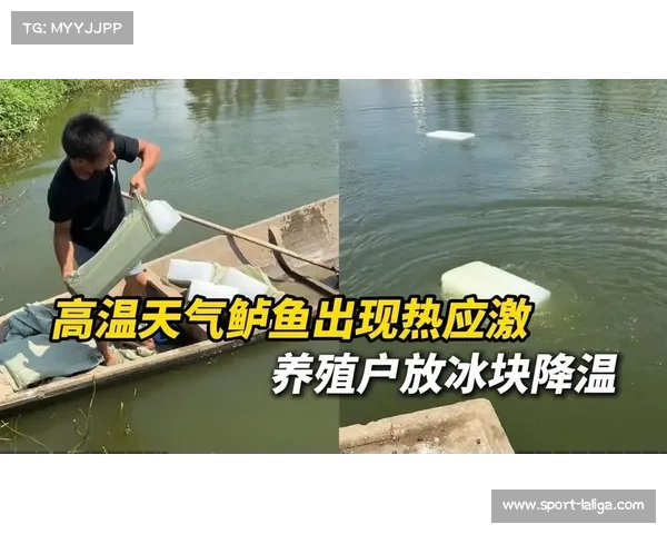 甘肃临夏高温天气赛前凌晨浇湿场地降温对策助力赛事顺利进行